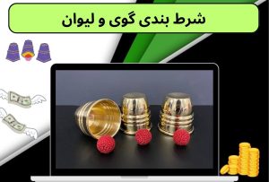 شرط بندی گوی و لیوان