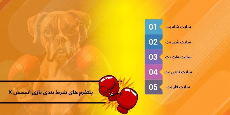معرفی برترین پلتفرم ‌های شرط ‌بندی بازی Smash X
