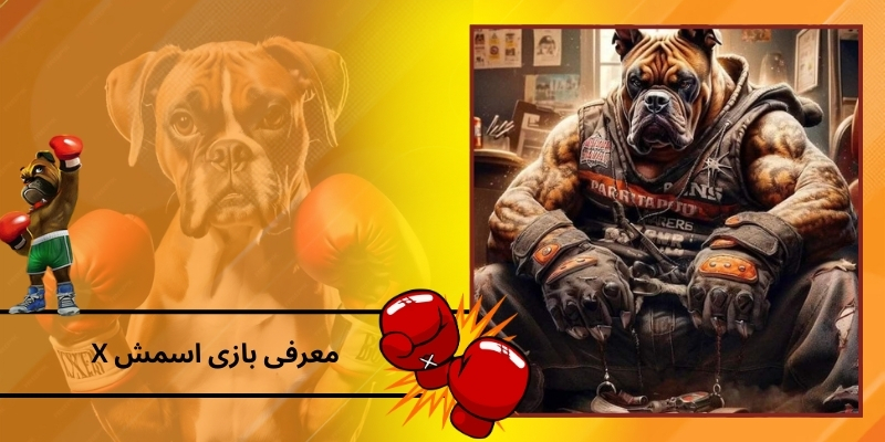 معرفی تاریخچه و کلیت بازی اسمش X