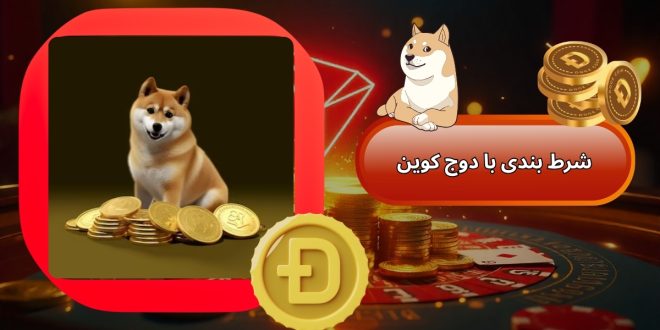 شرط بندی با دوج کوین